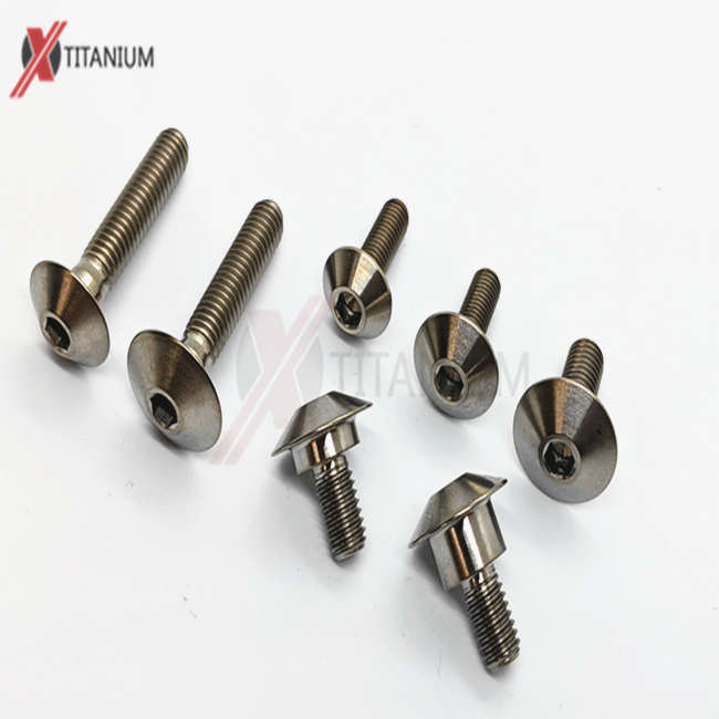 Ducati Fairing Bolt M5x10 Titanium Supplier